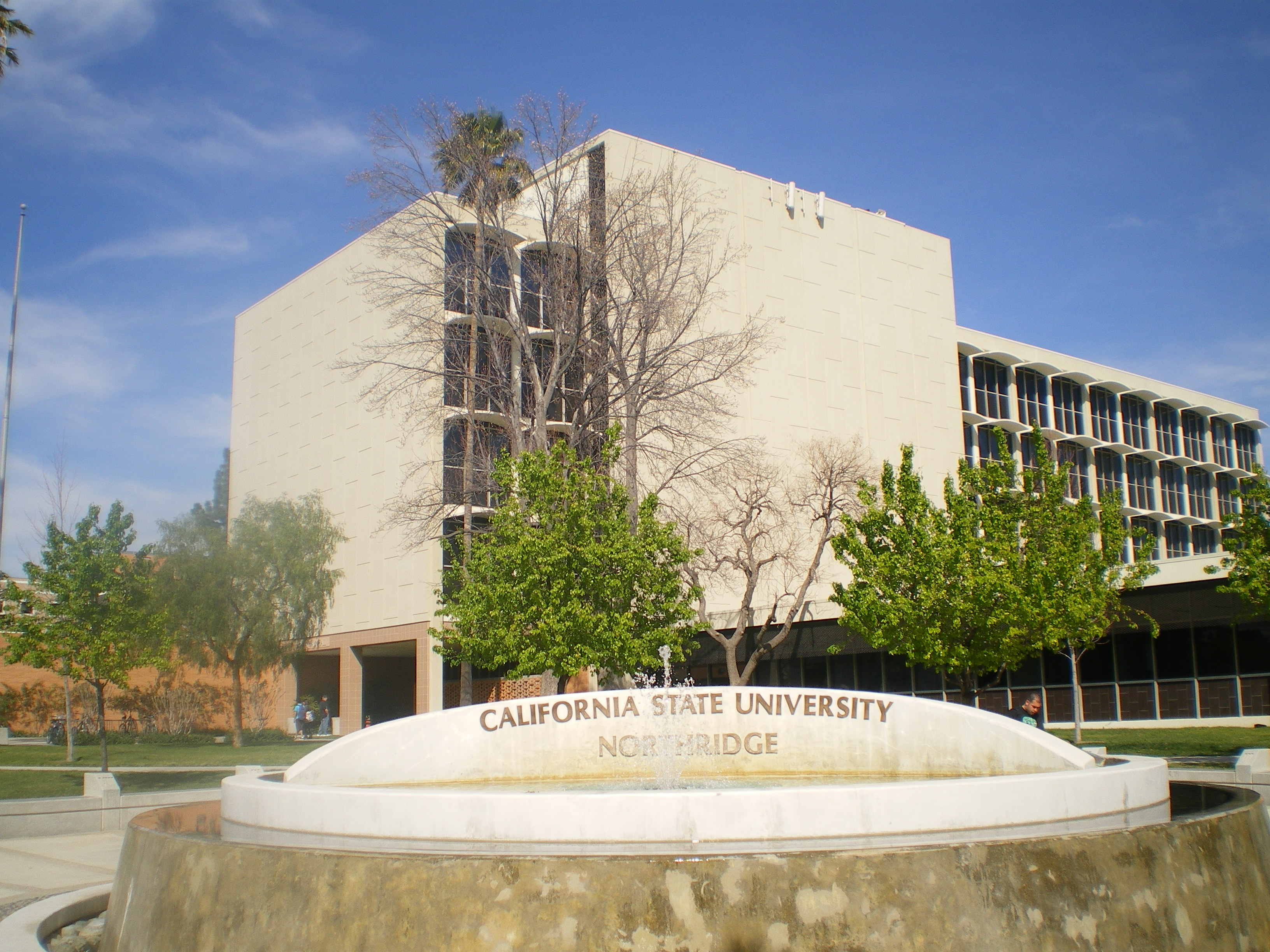 California State University at Northirdge Online MSW