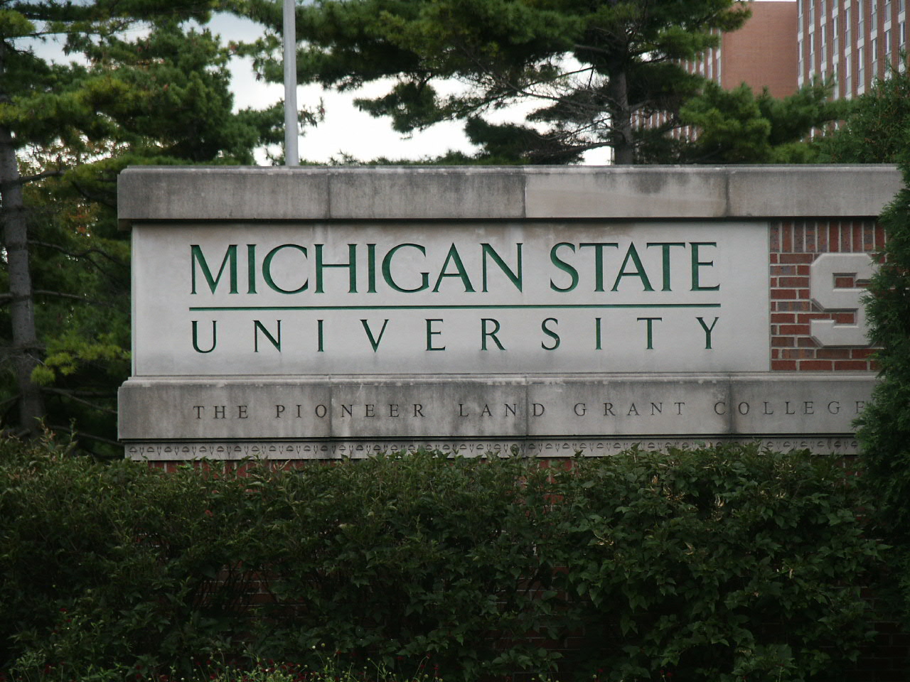 Michigan State University MSW focused on clinical practice