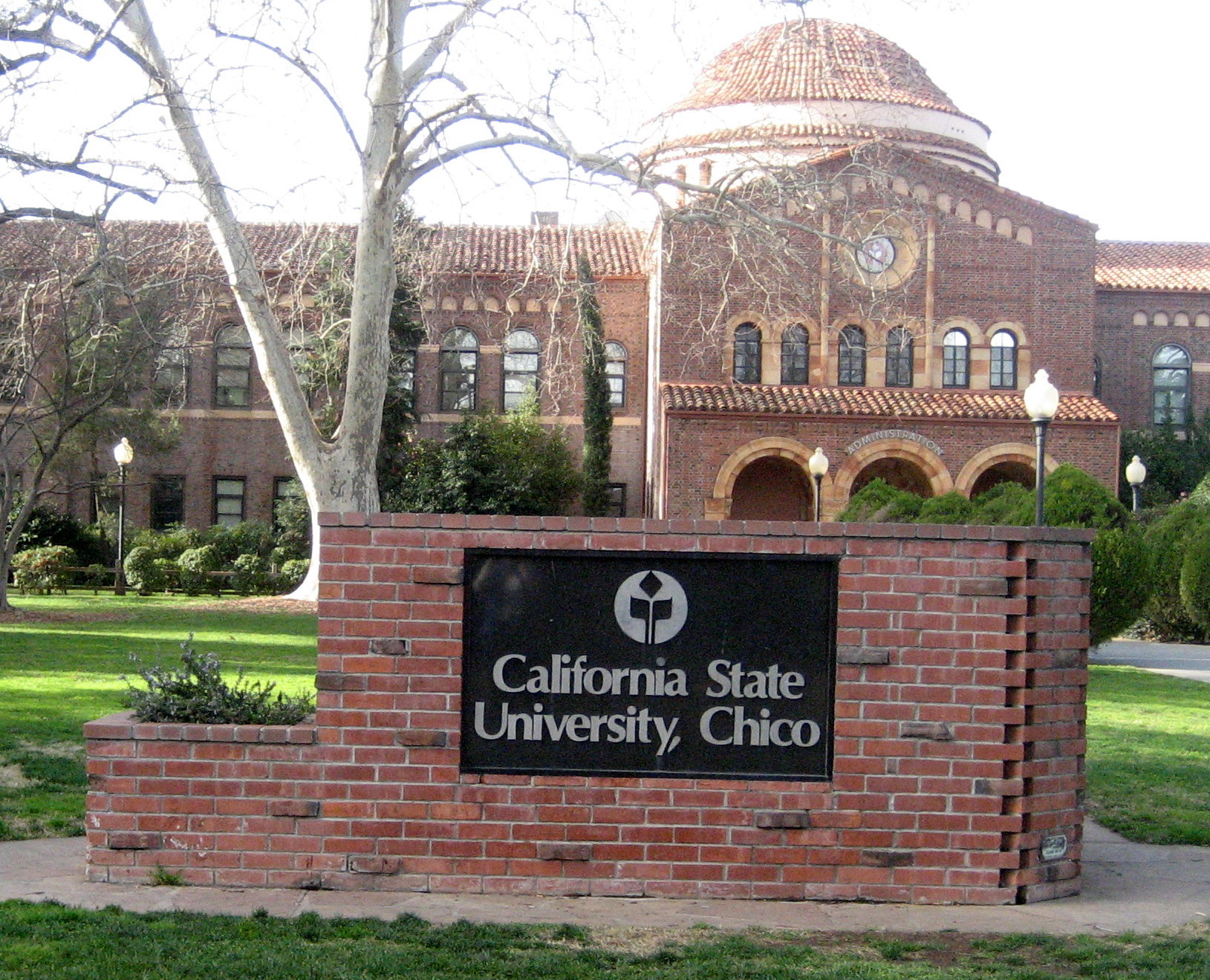 California State University of Chico Online MSW