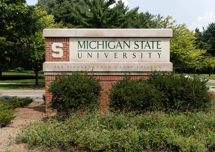 michigan state university